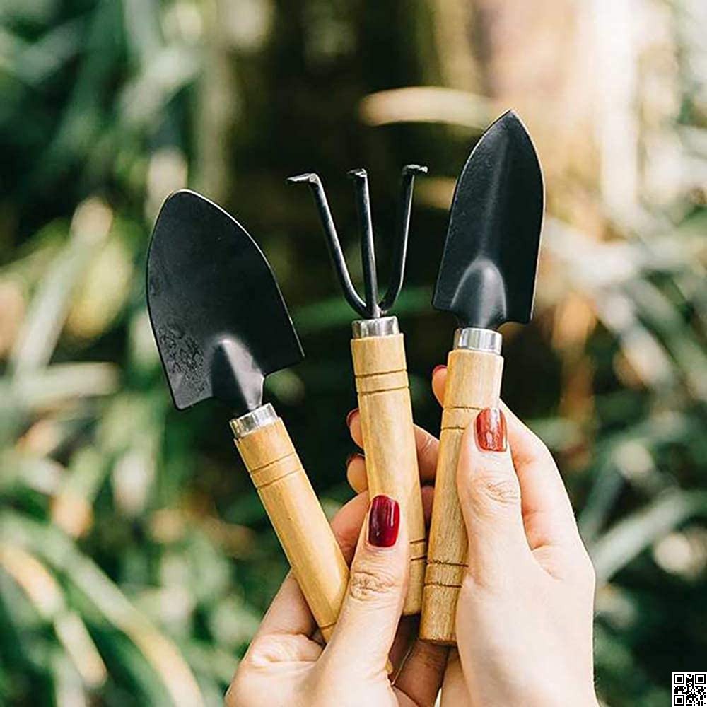 3pcs mini garden tools 5