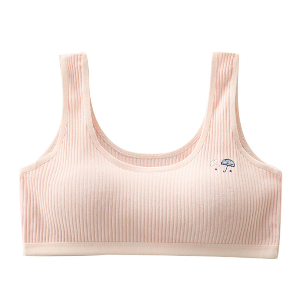Premium Soft Cotton Ribbed Training Bra for Teenagers and Junior Girls - Multi-Color Pack 6
