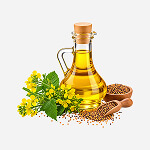 হোম ও বাথরুম অ্যাকসেসরিজ